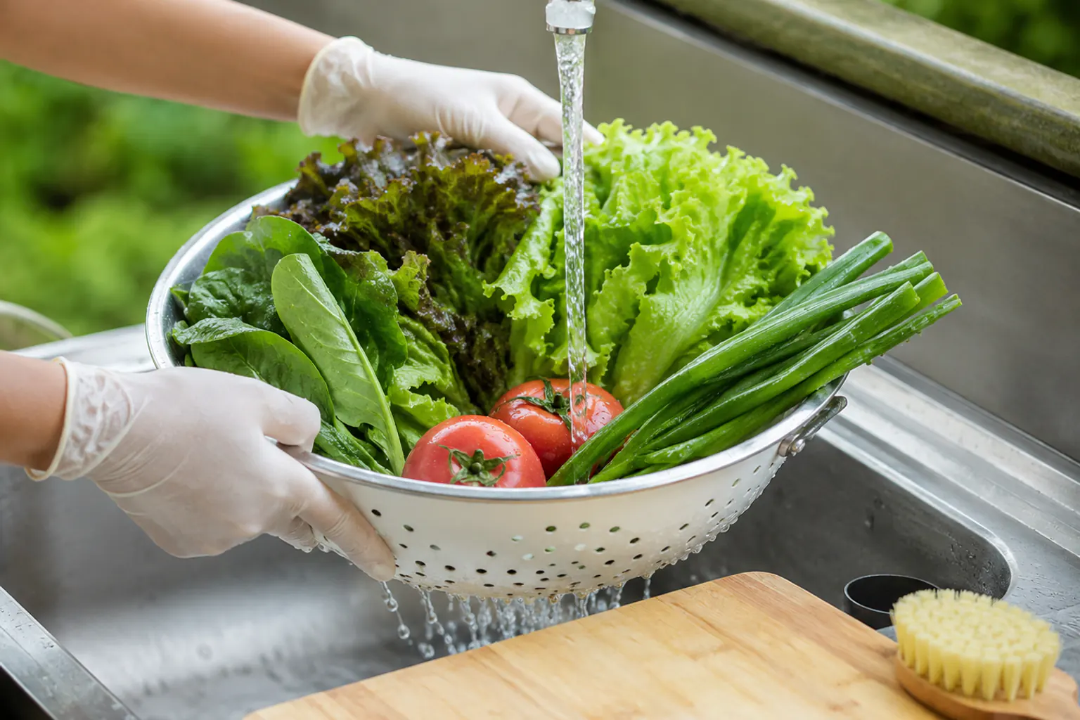 Freshly picked garden greens and tomatoes rinsed under clean running water in a colander at a sink, gloved hands holding it, a clean board and brush nearby.